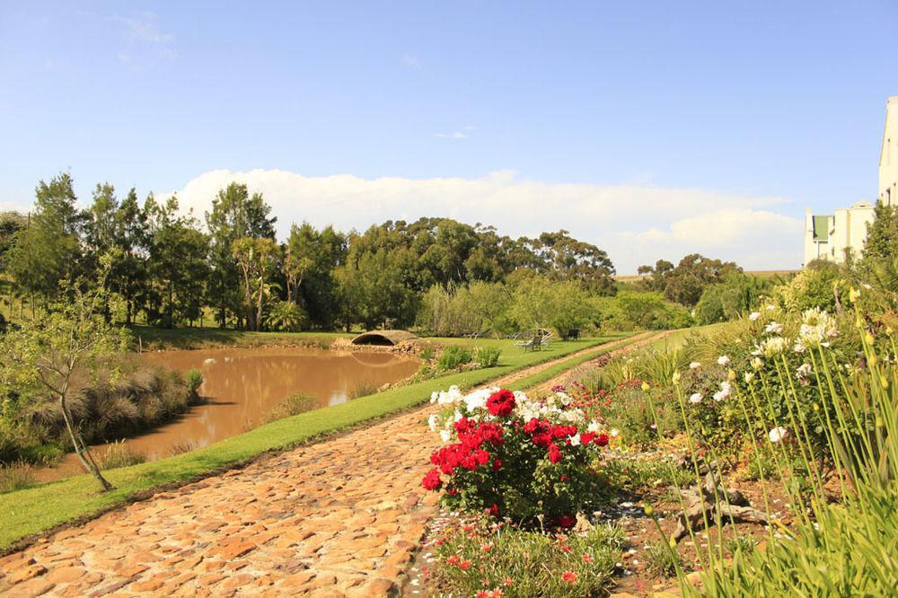 Peace Valley Guesthouse Napier Εξωτερικό φωτογραφία